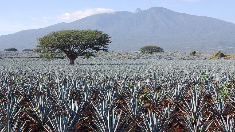 AdobeStock 768636 Preview Edited